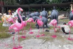công ty điêu khắc chim hồng hạc chất liệu composite